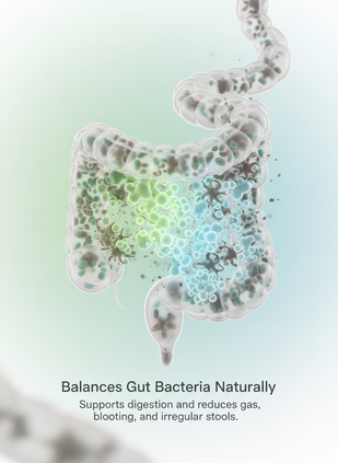 Restores Gut Balance